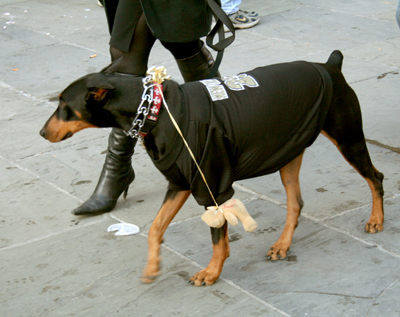 MYSTIC_KREWE_OF_BARKUS_2007_PARADE_PICTURES_0617