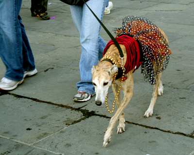 MYSTIC_KREWE_OF_BARKUS_2007_PARADE_PICTURES_0618