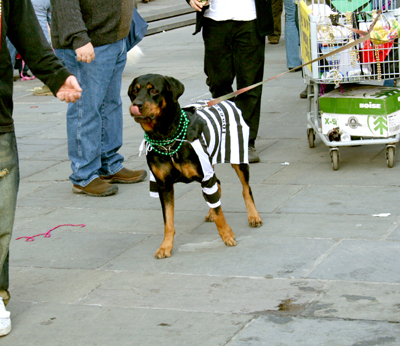 MYSTIC_KREWE_OF_BARKUS_2007_PARADE_PICTURES_0619