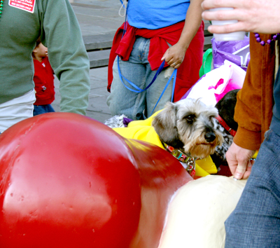 MYSTIC_KREWE_OF_BARKUS_2007_PARADE_PICTURES_0622