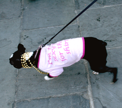 MYSTIC_KREWE_OF_BARKUS_2007_PARADE_PICTURES_0624