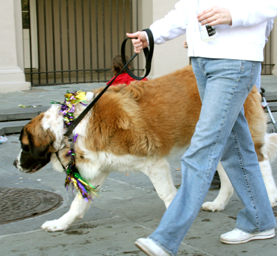 MYSTIC_KREWE_OF_BARKUS_2007_PARADE_PICTURES_0628