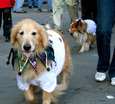 MYSTIC_KREWE_OF_BARKUS_2007_PARADE_PICTURES_0630