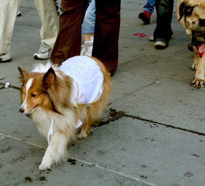 MYSTIC_KREWE_OF_BARKUS_2007_PARADE_PICTURES_0631