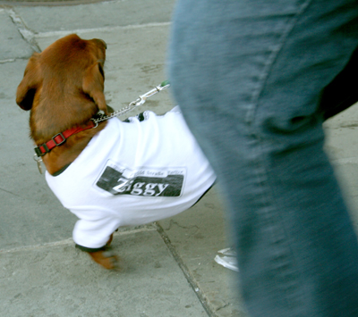 MYSTIC_KREWE_OF_BARKUS_2007_PARADE_PICTURES_0634