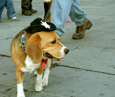 MYSTIC_KREWE_OF_BARKUS_2007_PARADE_PICTURES_0636