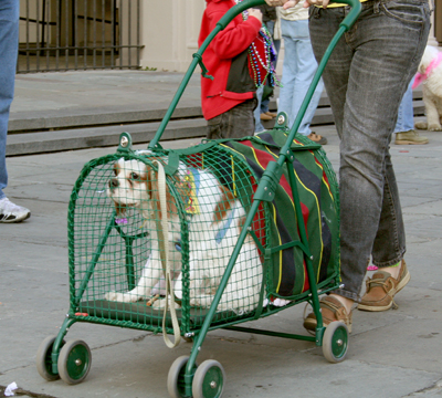 MYSTIC_KREWE_OF_BARKUS_2007_PARADE_PICTURES_0637