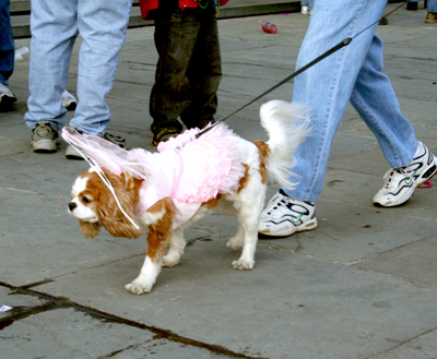 MYSTIC_KREWE_OF_BARKUS_2007_PARADE_PICTURES_0639