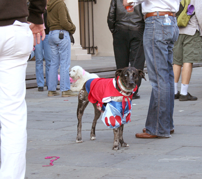 MYSTIC_KREWE_OF_BARKUS_2007_PARADE_PICTURES_0641