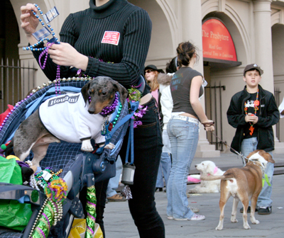 MYSTIC_KREWE_OF_BARKUS_2007_PARADE_PICTURES_0645