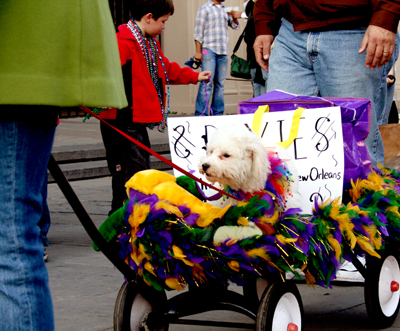 MYSTIC_KREWE_OF_BARKUS_2007_PARADE_PICTURES_0646