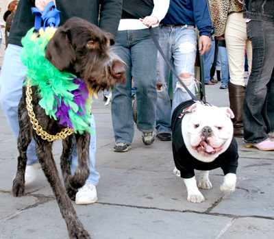 MYSTIC_KREWE_OF_BARKUS_2007_PARADE_PICTURES_0648