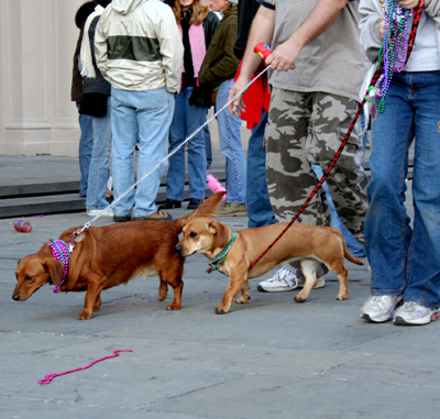 MYSTIC_KREWE_OF_BARKUS_2007_PARADE_PICTURES_0651