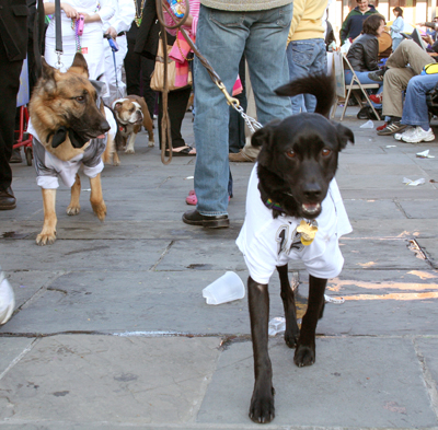 MYSTIC_KREWE_OF_BARKUS_2007_PARADE_PICTURES_0653