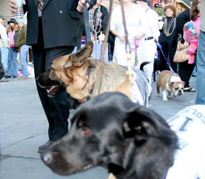 MYSTIC_KREWE_OF_BARKUS_2007_PARADE_PICTURES_0654