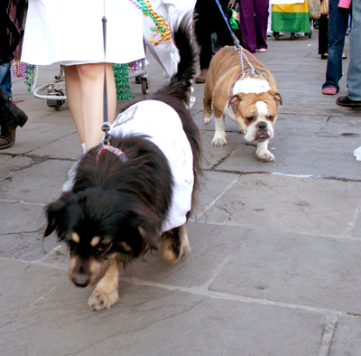 MYSTIC_KREWE_OF_BARKUS_2007_PARADE_PICTURES_0655