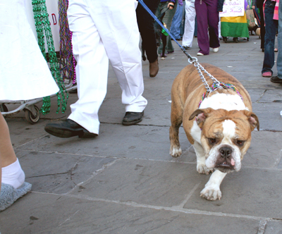 MYSTIC_KREWE_OF_BARKUS_2007_PARADE_PICTURES_0656