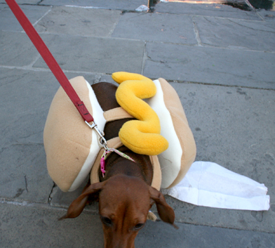 MYSTIC_KREWE_OF_BARKUS_2007_PARADE_PICTURES_0658