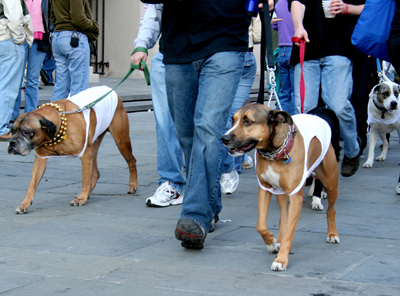 MYSTIC_KREWE_OF_BARKUS_2007_PARADE_PICTURES_0663