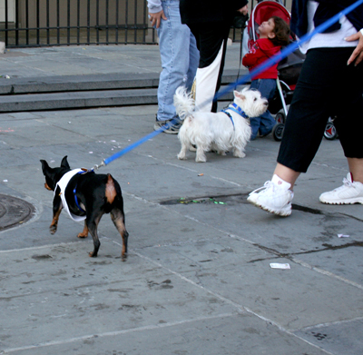 MYSTIC_KREWE_OF_BARKUS_2007_PARADE_PICTURES_0666