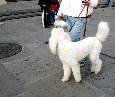 MYSTIC_KREWE_OF_BARKUS_2007_PARADE_PICTURES_0670