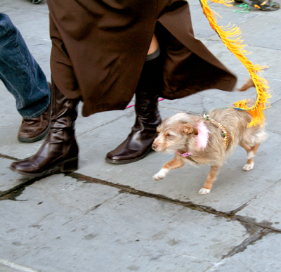 MYSTIC_KREWE_OF_BARKUS_2007_PARADE_PICTURES_0674