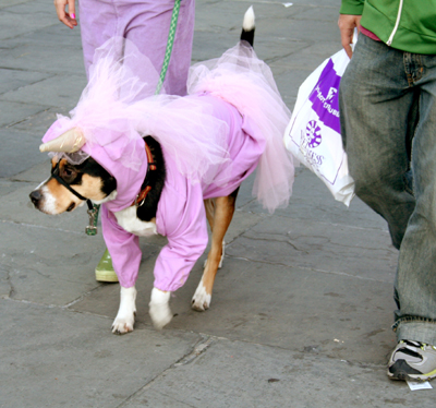 MYSTIC_KREWE_OF_BARKUS_2007_PARADE_PICTURES_0675