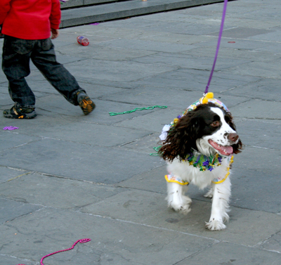 MYSTIC_KREWE_OF_BARKUS_2007_PARADE_PICTURES_0677