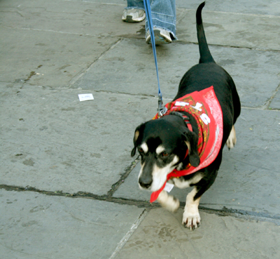 MYSTIC_KREWE_OF_BARKUS_2007_PARADE_PICTURES_0678