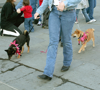 MYSTIC_KREWE_OF_BARKUS_2007_PARADE_PICTURES_0680