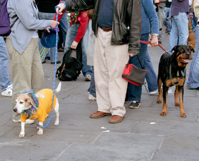 MYSTIC_KREWE_OF_BARKUS_2007_PARADE_PICTURES_0681