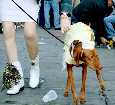 MYSTIC_KREWE_OF_BARKUS_2007_PARADE_PICTURES_0684