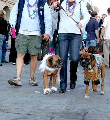 MYSTIC_KREWE_OF_BARKUS_2007_PARADE_PICTURES_0685