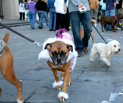 MYSTIC_KREWE_OF_BARKUS_2007_PARADE_PICTURES_0686