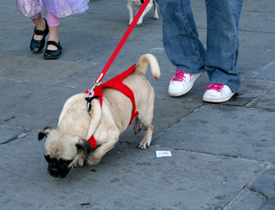 MYSTIC_KREWE_OF_BARKUS_2007_PARADE_PICTURES_0688