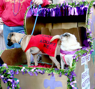 MYSTIC_KREWE_OF_BARKUS_2007_PARADE_PICTURES_0690