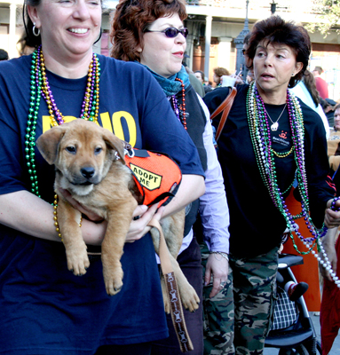 MYSTIC_KREWE_OF_BARKUS_2007_PARADE_PICTURES_0693