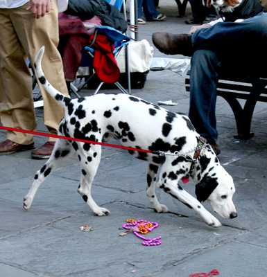 MYSTIC_KREWE_OF_BARKUS_2007_PARADE_PICTURES_0695