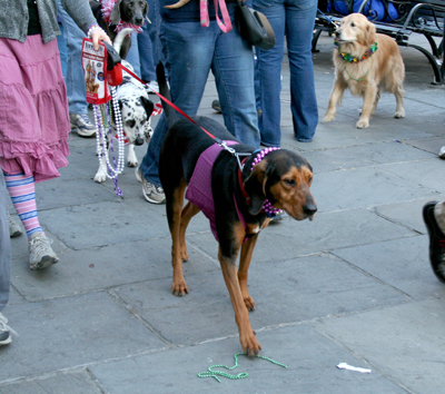 MYSTIC_KREWE_OF_BARKUS_2007_PARADE_PICTURES_0696