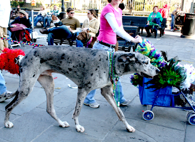 MYSTIC_KREWE_OF_BARKUS_2007_PARADE_PICTURES_0698