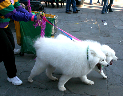 MYSTIC_KREWE_OF_BARKUS_2007_PARADE_PICTURES_0700