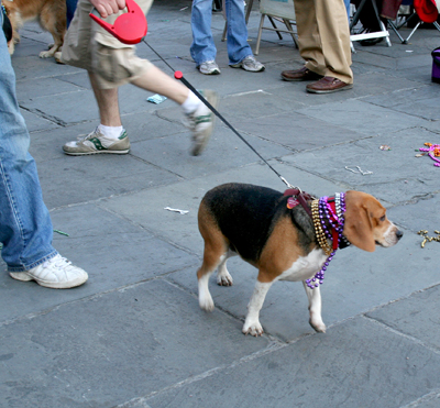 MYSTIC_KREWE_OF_BARKUS_2007_PARADE_PICTURES_0703