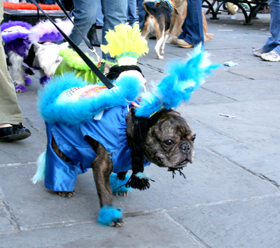 MYSTIC_KREWE_OF_BARKUS_2007_PARADE_PICTURES_0704