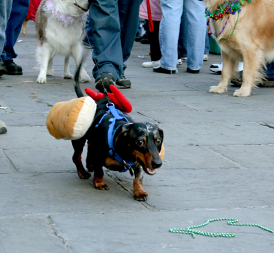 MYSTIC_KREWE_OF_BARKUS_2007_PARADE_PICTURES_0707