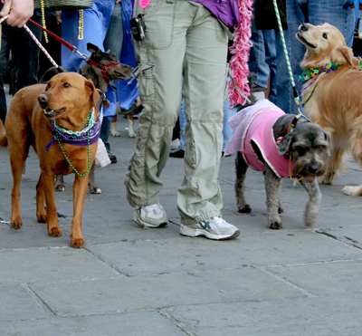 MYSTIC_KREWE_OF_BARKUS_2007_PARADE_PICTURES_0710