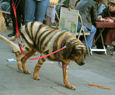 MYSTIC_KREWE_OF_BARKUS_2007_PARADE_PICTURES_0713