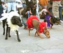 MYSTIC_KREWE_OF_BARKUS_2007_PARADE_PICTURES_0585