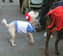 MYSTIC_KREWE_OF_BARKUS_2007_PARADE_PICTURES_0593