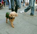 MYSTIC_KREWE_OF_BARKUS_2007_PARADE_PICTURES_0597