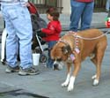 MYSTIC_KREWE_OF_BARKUS_2007_PARADE_PICTURES_0629